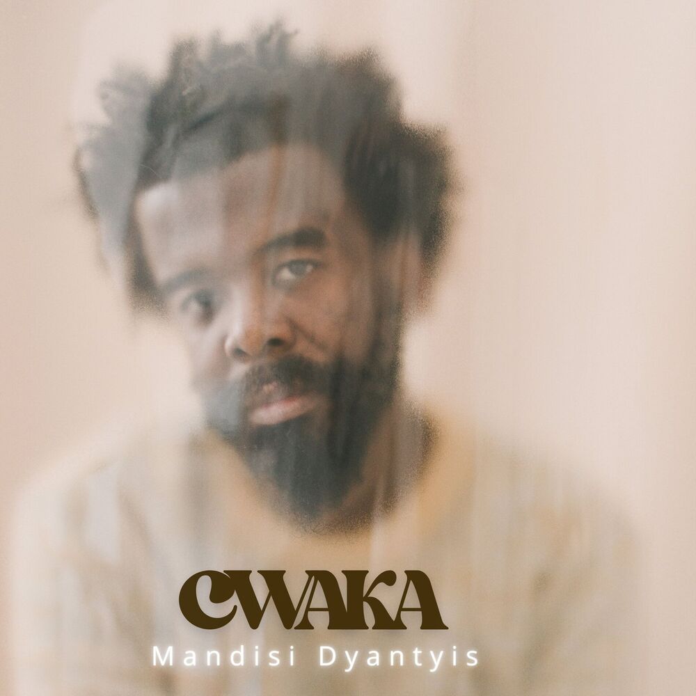 Picture of Mandisi Dyantyis
