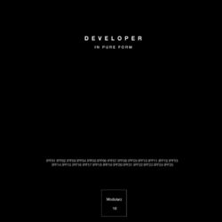 Picture of Developer