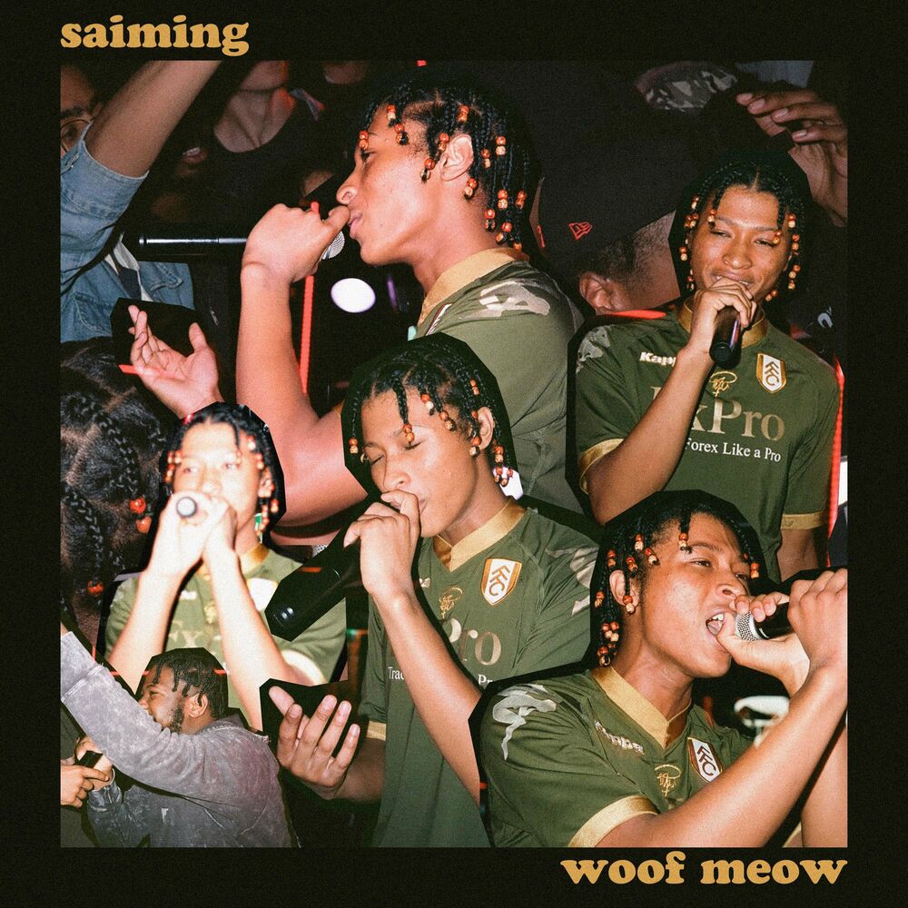 Picture of Saiming
