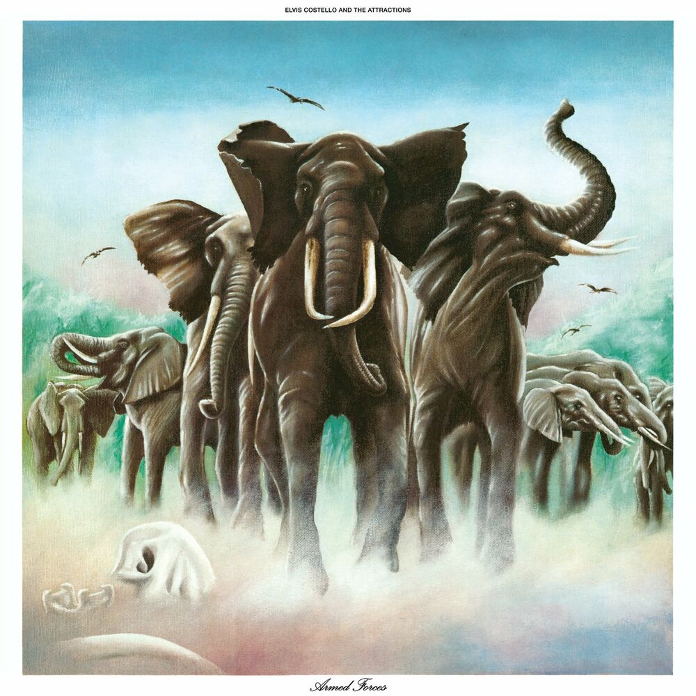 Picture of Elvis Costello & The Attractions
