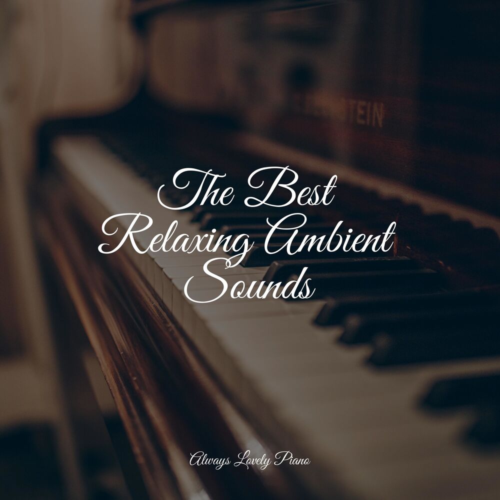 Picture of Background Piano Music