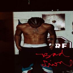 Picture of Red Lion