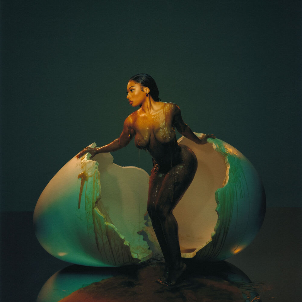 Picture of Megan Thee Stallion