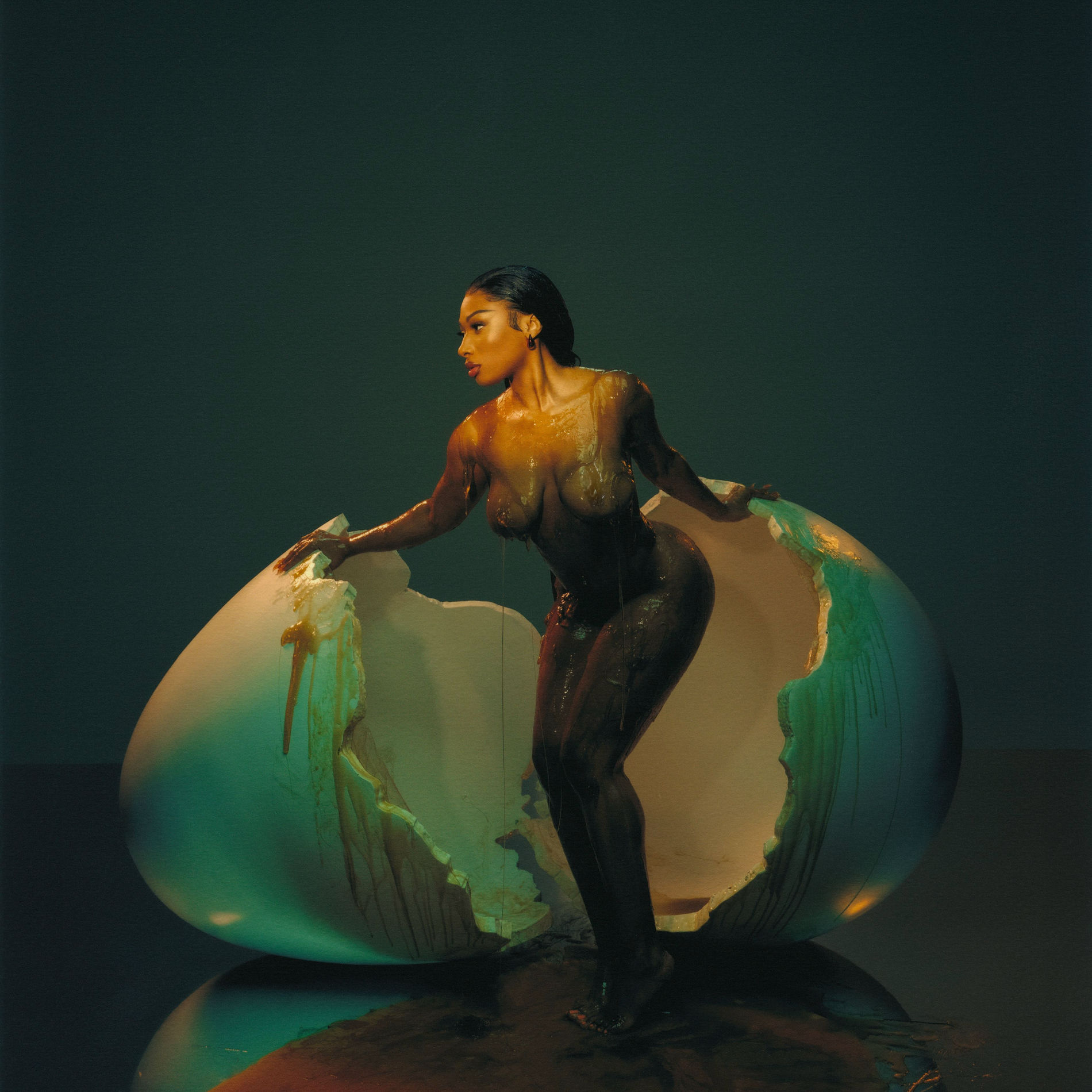 Artist picture of Megan Thee Stallion