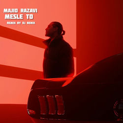 Majid Razavi