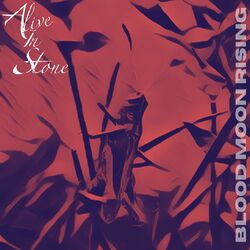 Picture of Alive In Stone