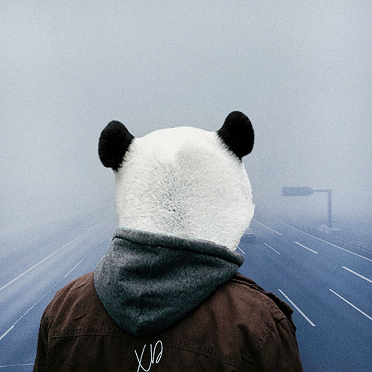 Artist picture of XD