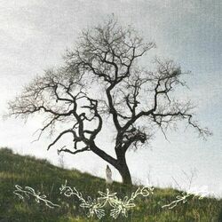 girl on a hill
