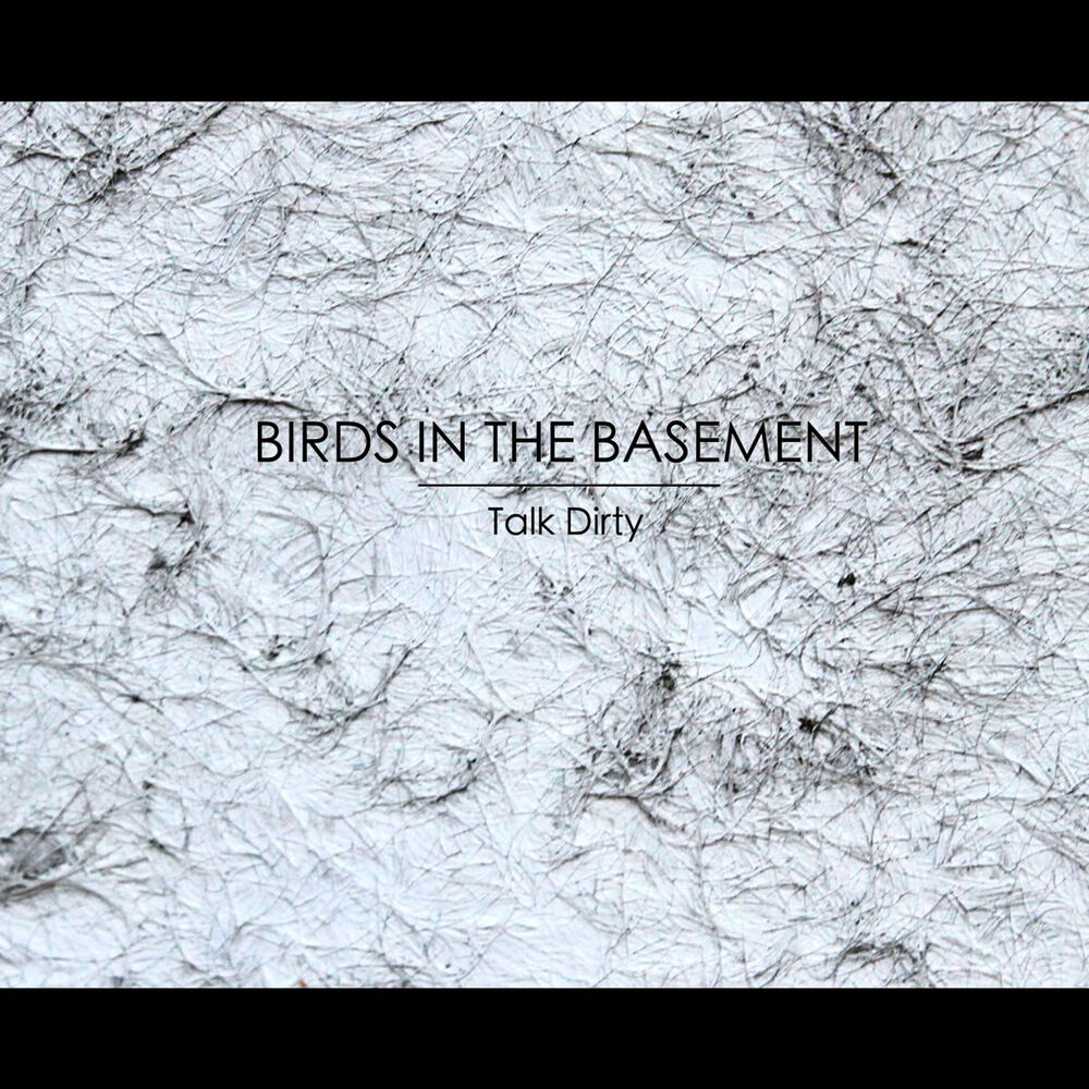 Picture of Birds in the Basement
