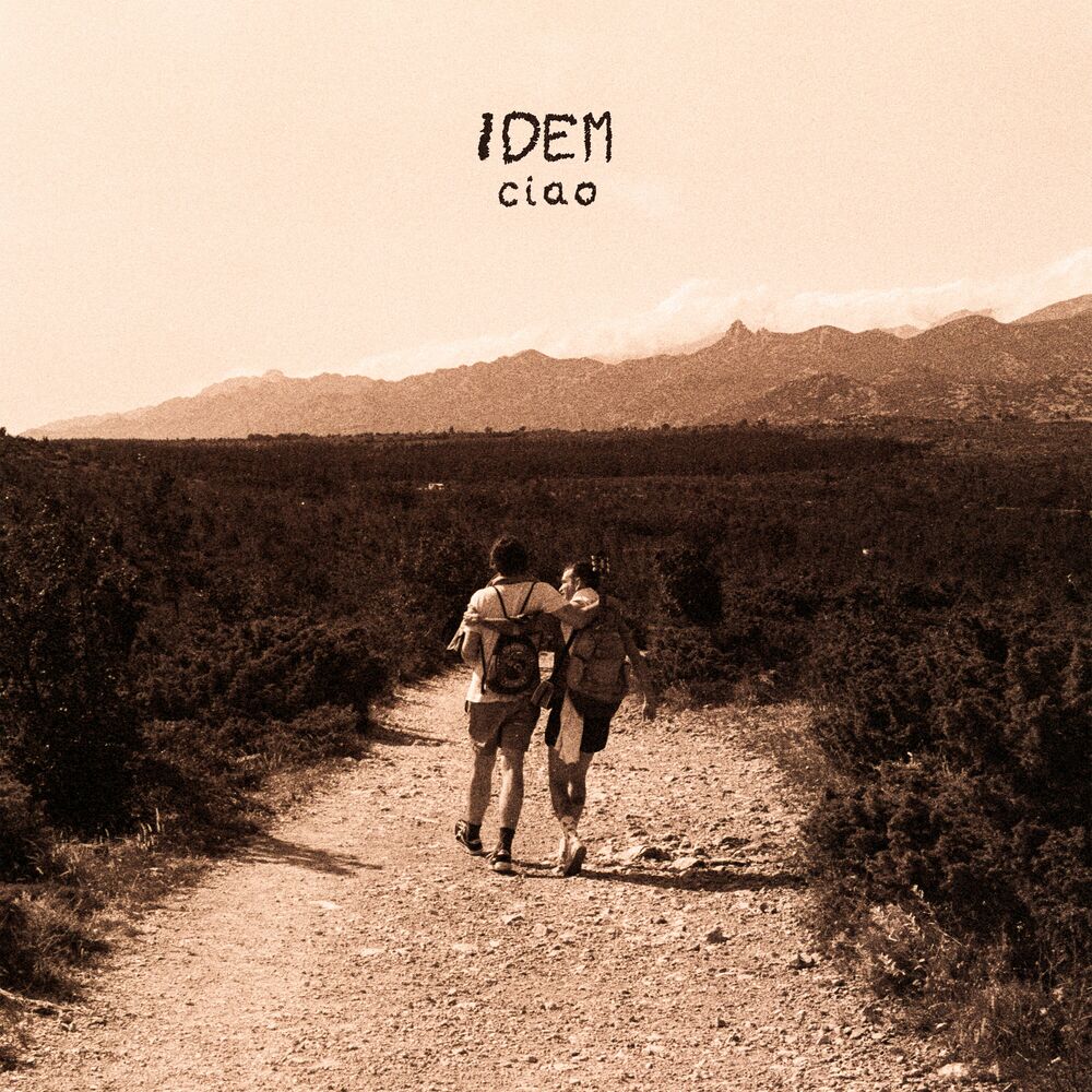 Picture of IDEM