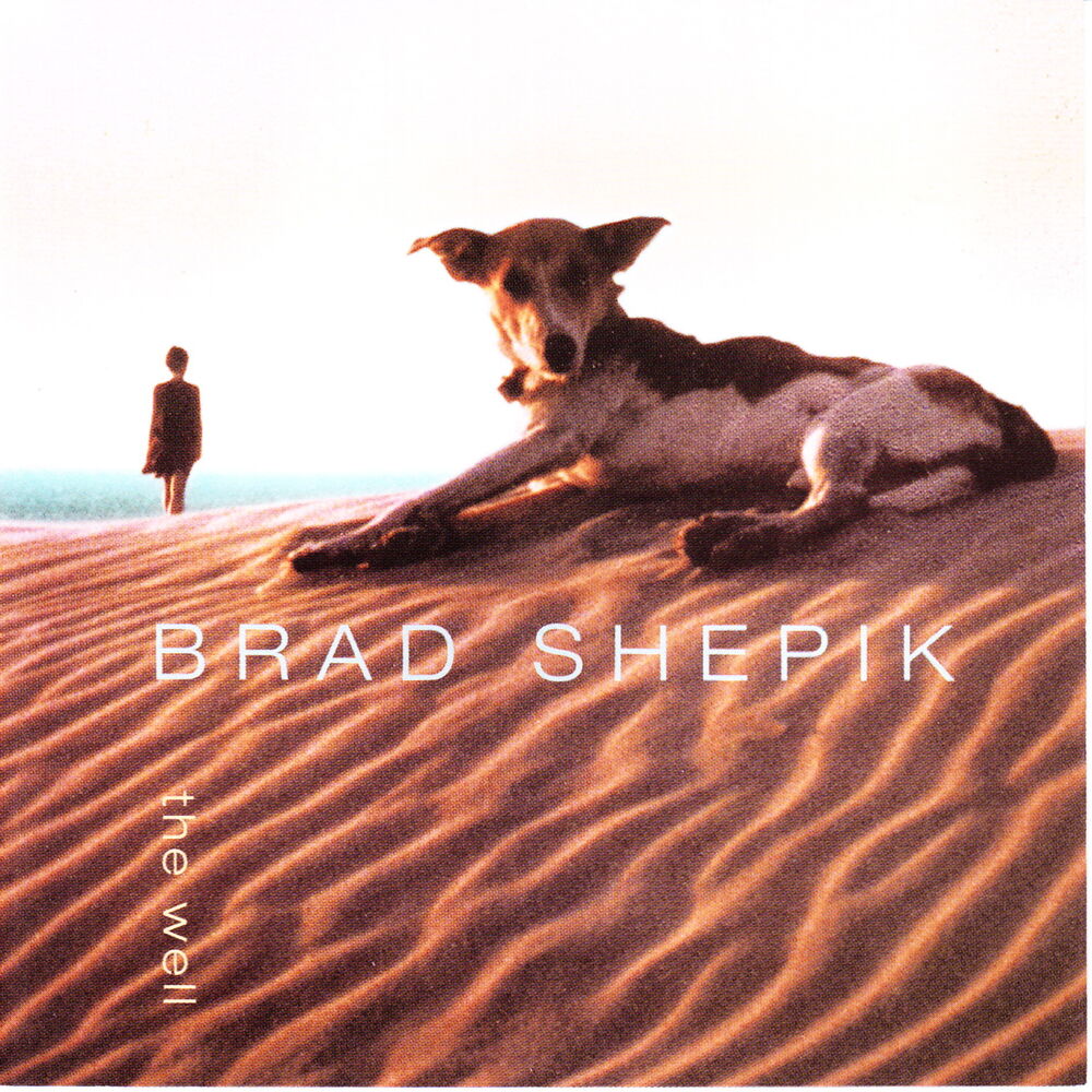 Picture of Brad Shepik