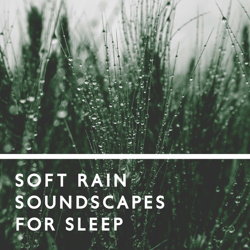 Picture of Deep Sleep Music Zone