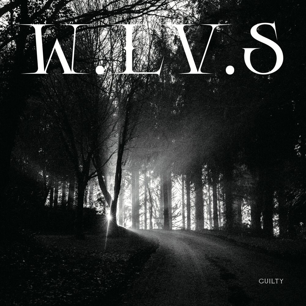 Picture of W.LV.S