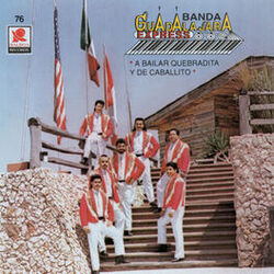 Picture of Banda Guadalajara Express