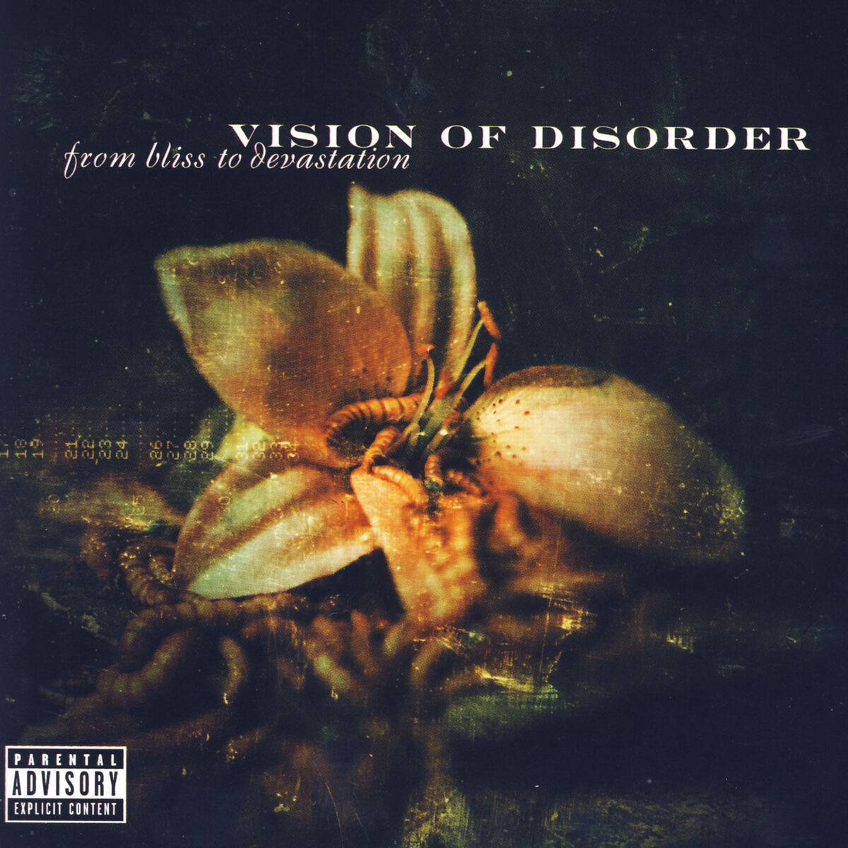 Vision of Disorder