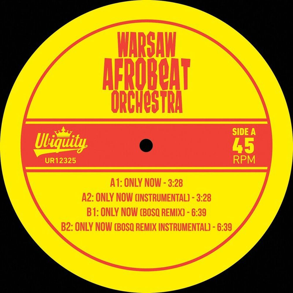 Photo de l'artiste Warsaw Afrobeat Orchestra