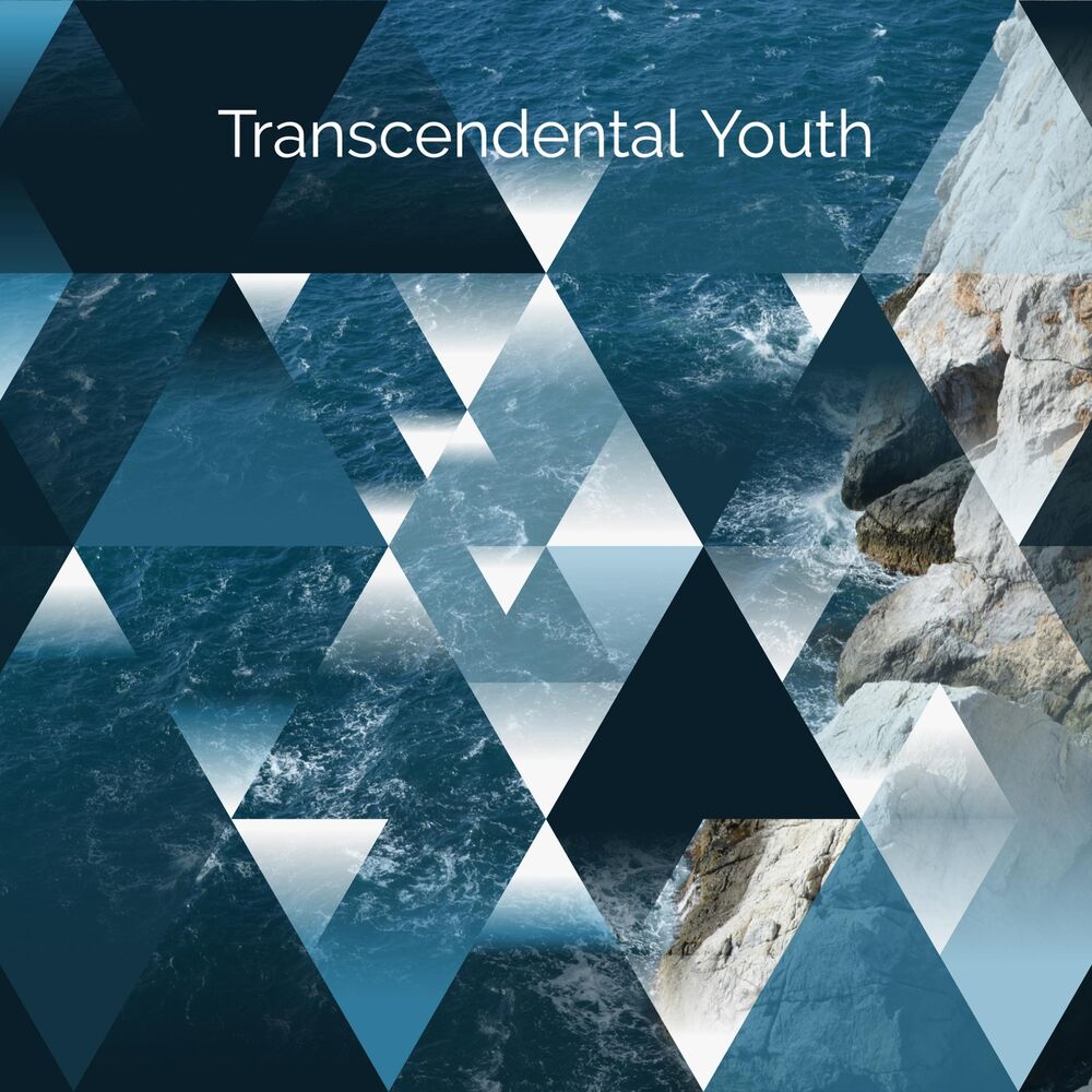 Picture of Transcendental Youth