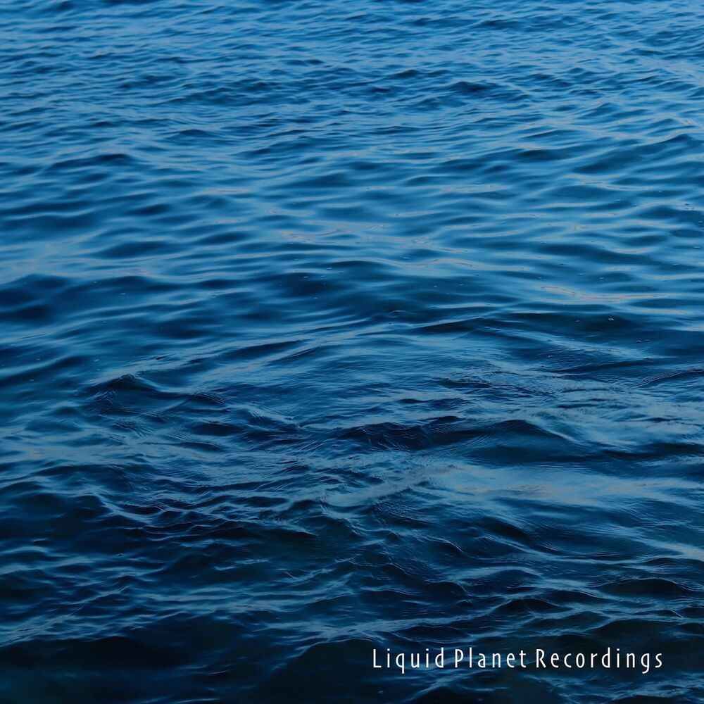 Picture of Liquid Planet Recordings