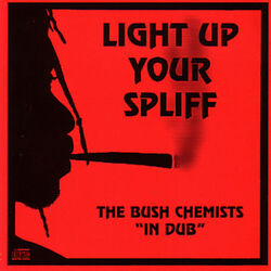 Picture of Bush Chemists
