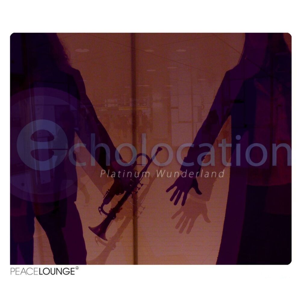 Picture of Echolocation