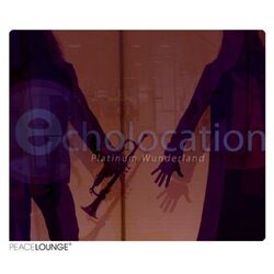 Picture of Echolocation