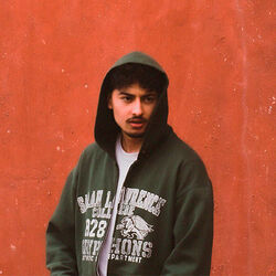Picture of CAPU$H