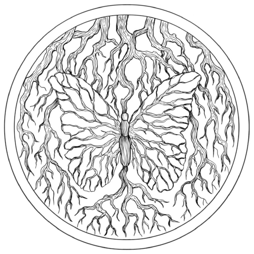 Photo de l'artiste Blacklit Canopy Official