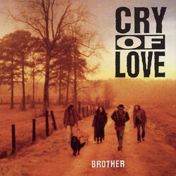 Picture of Cry Of Love