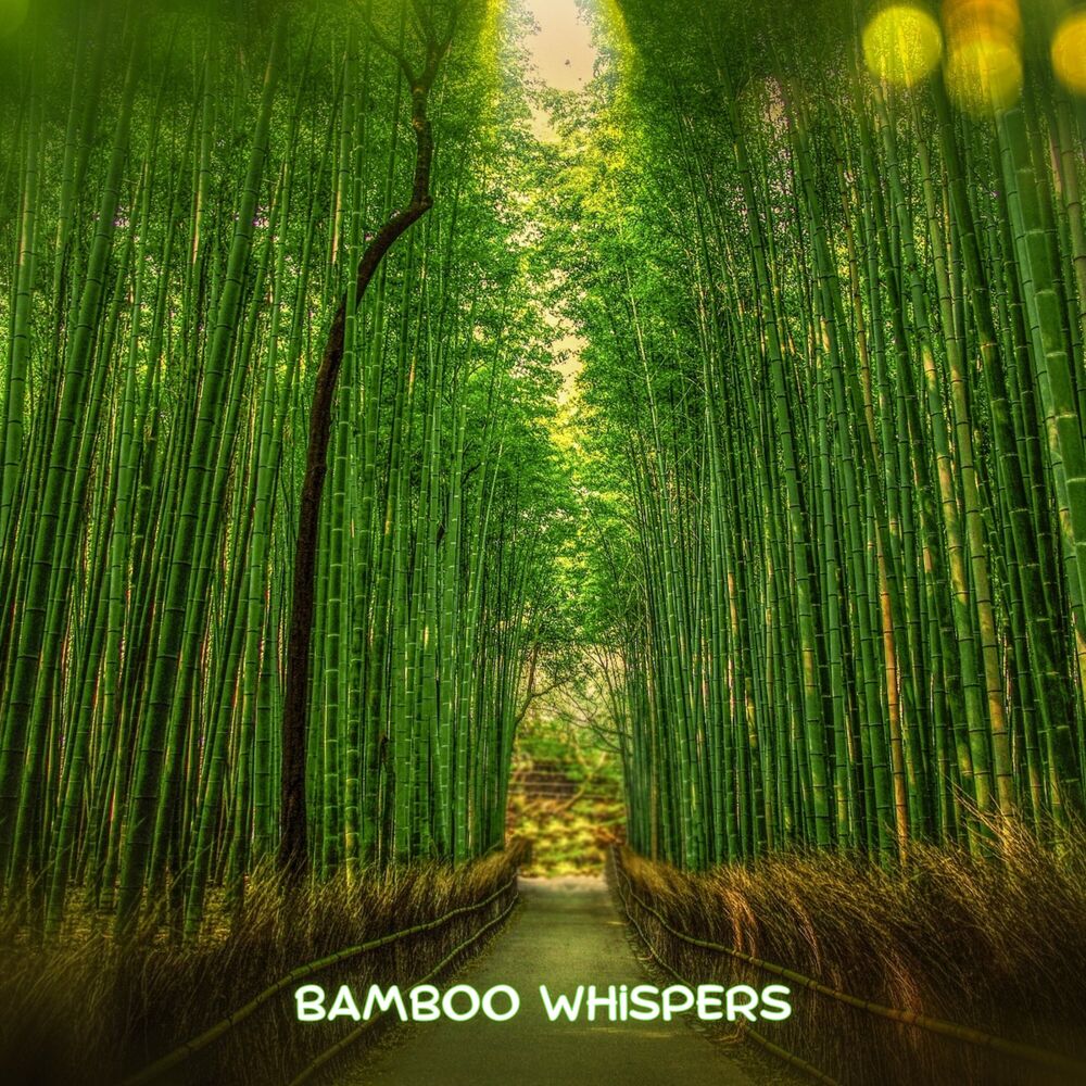 Picture of Bamboo Sounds