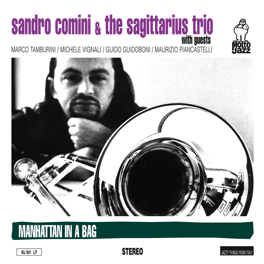 Picture of Sandro comini