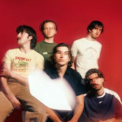 Picture of Delights