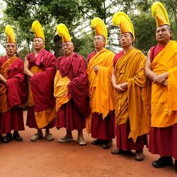 Picture of The Gyuto Monks of Tibet