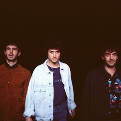 Picture of BB Brunes