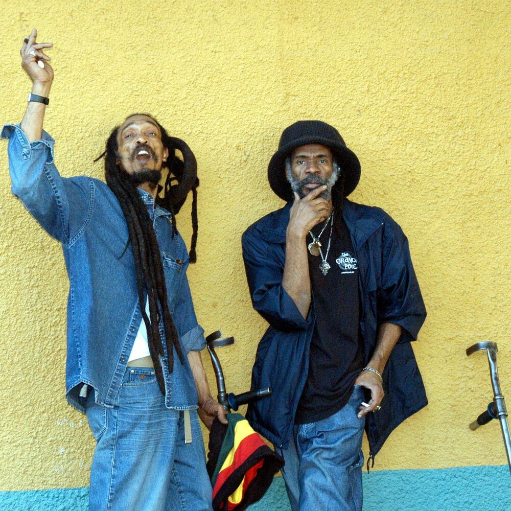 Picture of Israel Vibration