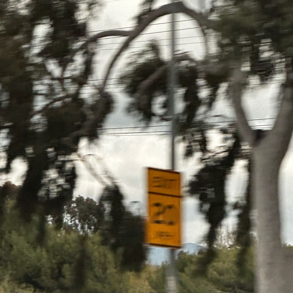 Picture of Shy High