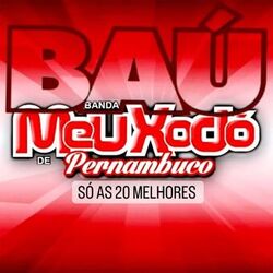 Picture of Banda Meu Xodó De Pernambuco