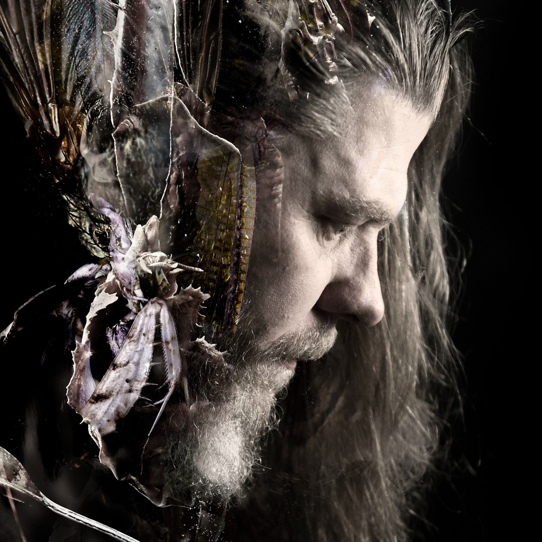 Artist picture of Diary of Dreams