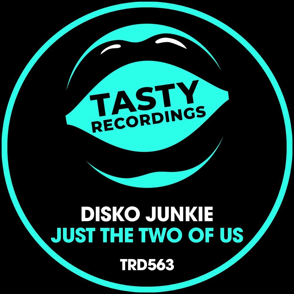 Picture of Disko Junkie