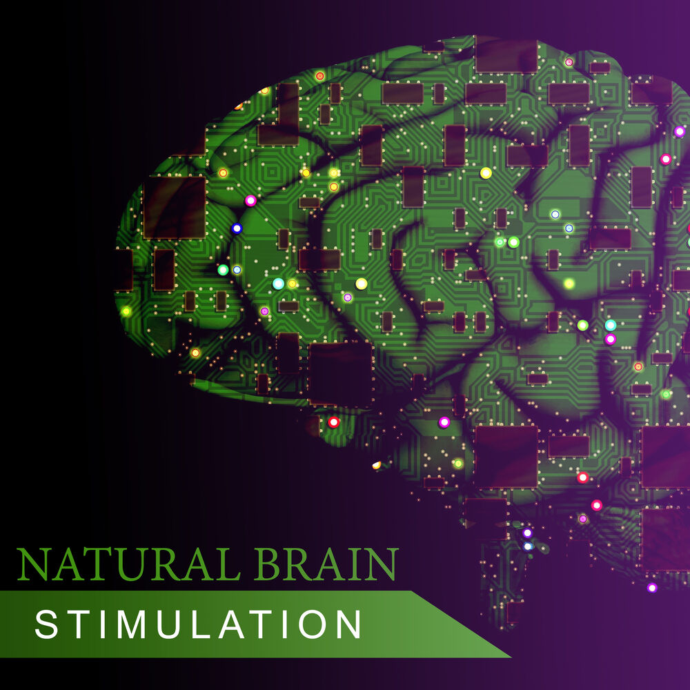 Picture of Brain Power Academy