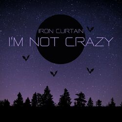 Picture of Iron Curtain