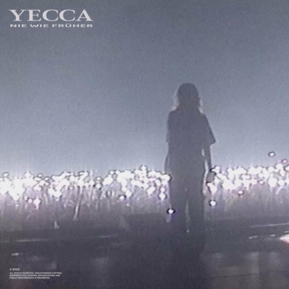 Picture of Yecca