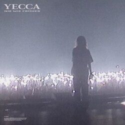 Picture of Yecca