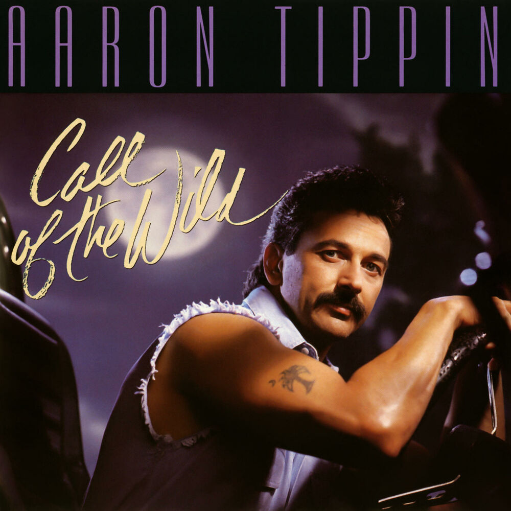 Picture of Aaron Tippin