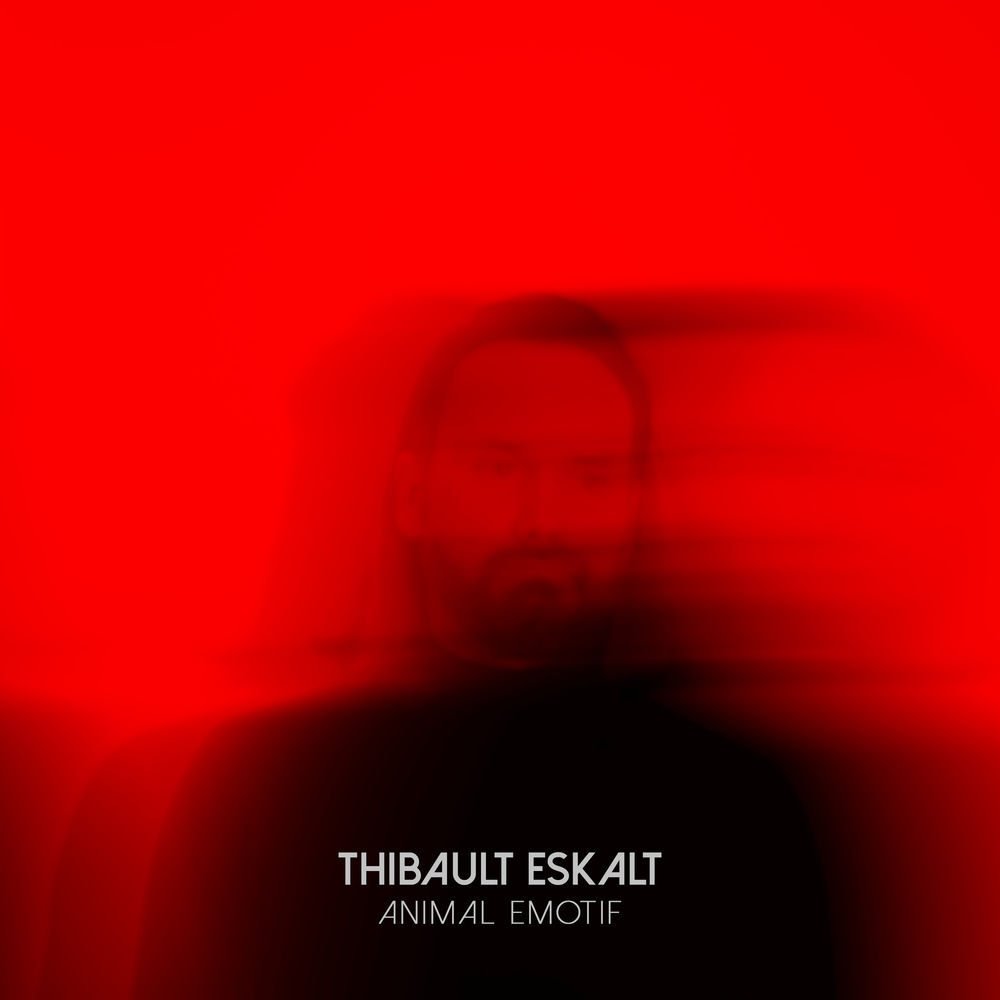 Photo de l'artiste Thibault Eskalt