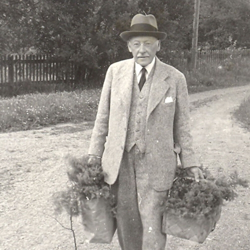 Picture of Hugo Alfvén