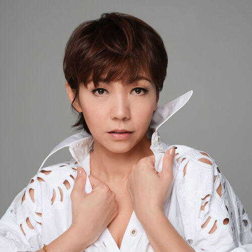 陳潔儀kit chan 傷心CD 1996年出品, 興趣及遊戲, 音樂、樂器