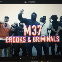 Picture of M37 Offical