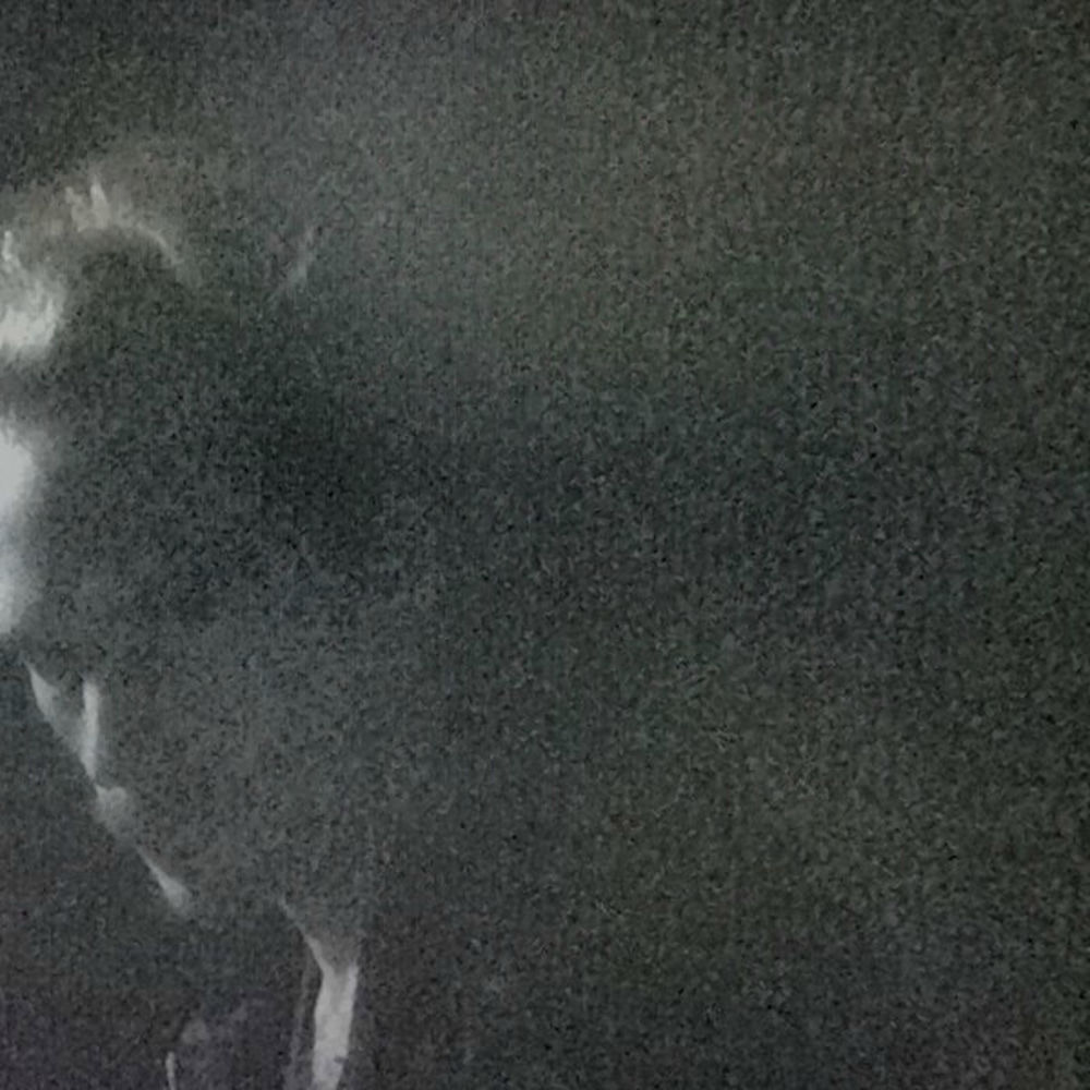 Photo de l'artiste Canard