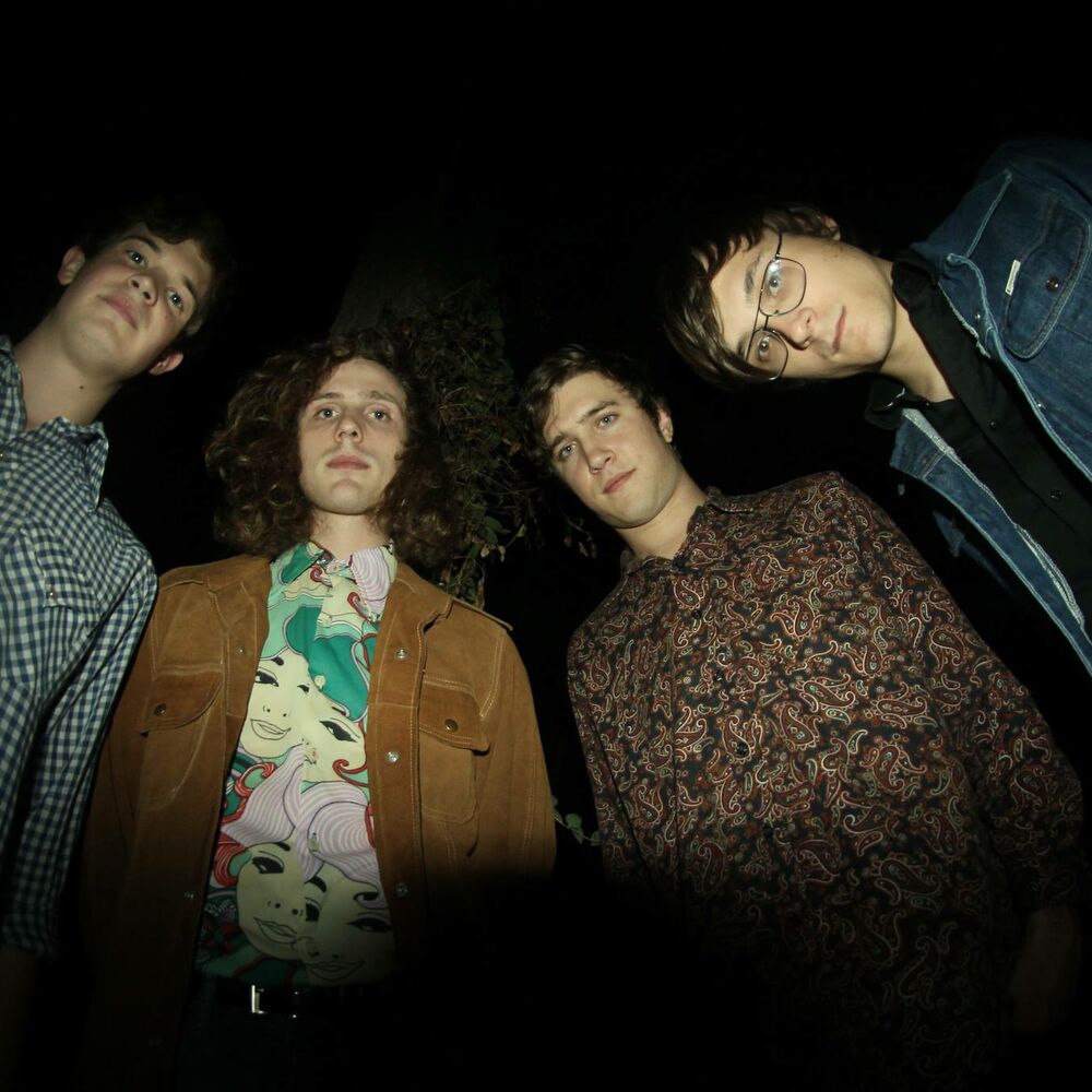 Picture of Triptides