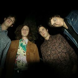 Picture of Triptides